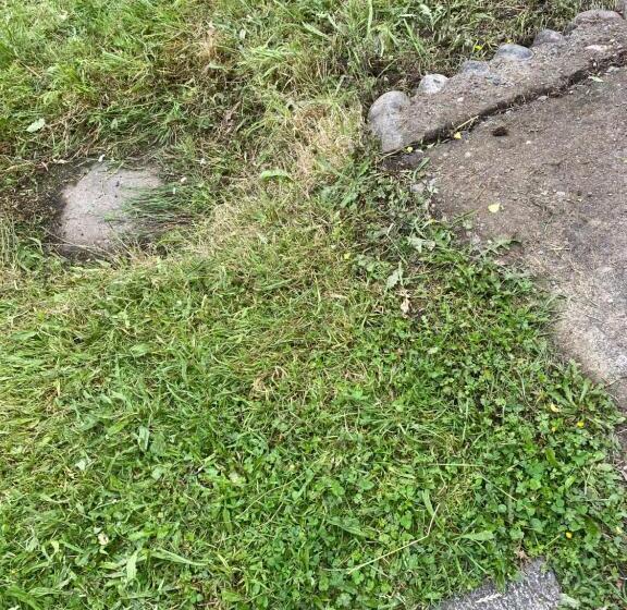 پانسیون Hostal Pelluco