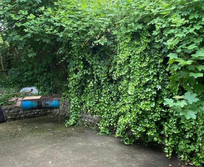 پانسیون Hostal Pelluco