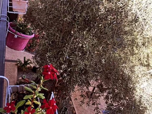 Majatalo Bella Casetta Guest House