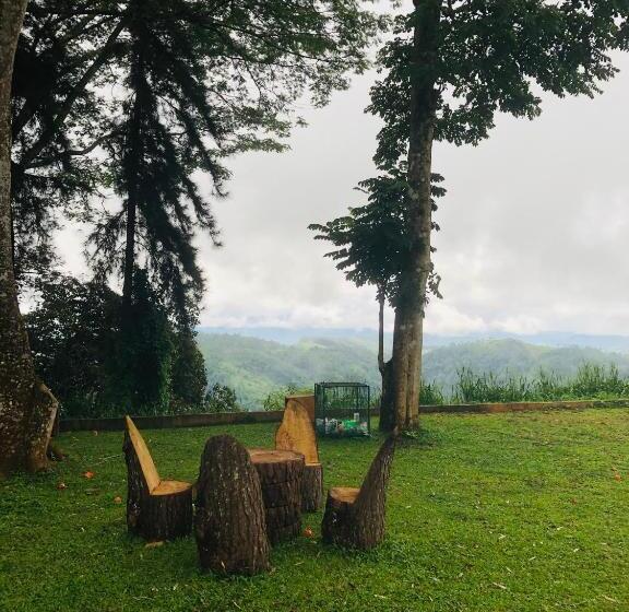 פנסיון The Arbour Boutique Villa