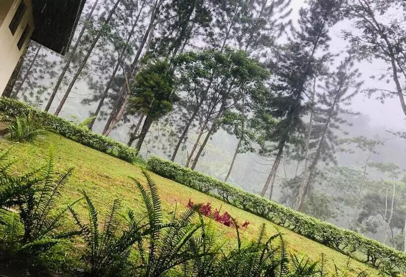 Majatalo The Arbour Boutique Villa