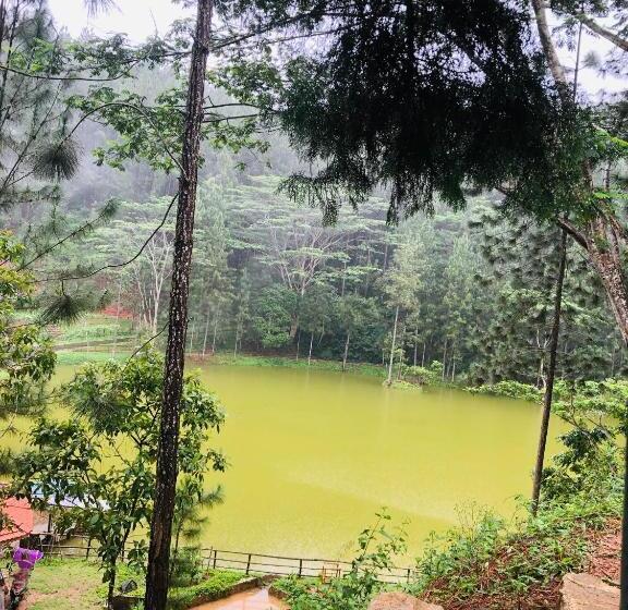 פנסיון The Arbour Boutique Villa