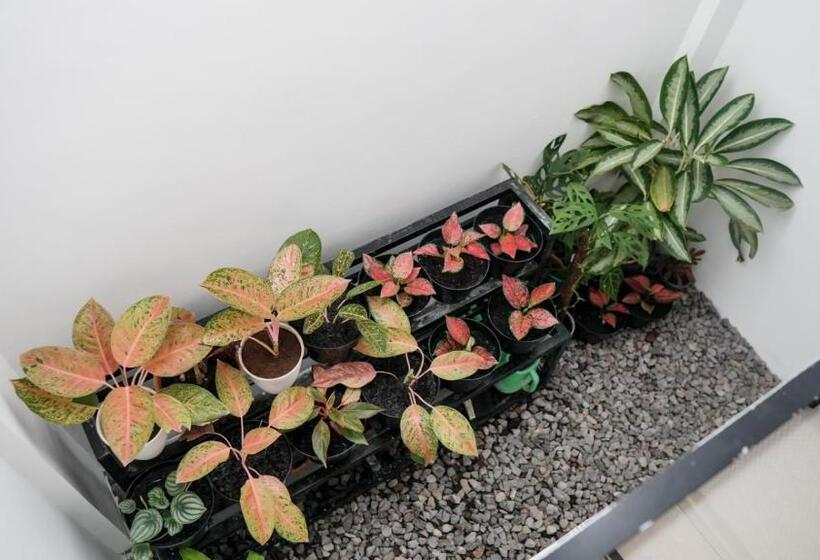 펜션 Wangi Homestay Banyuwangi