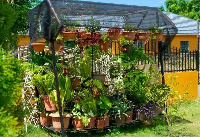 پانسیون Windbreak Villa