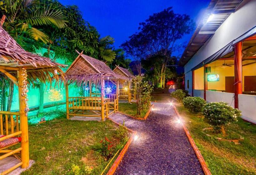 Курорт The Travelers Friend Family / Studio Room