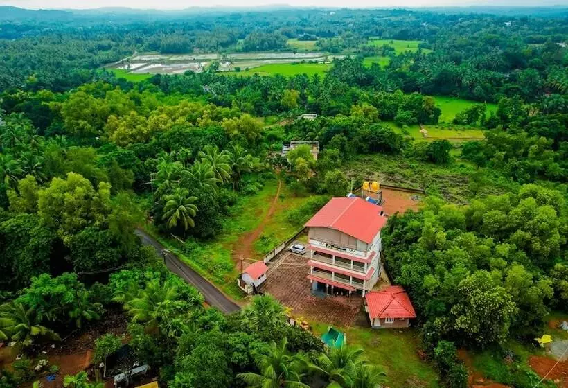 The Rock Resort