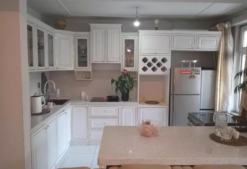 هاستل Bolod Guesthouse And Tours