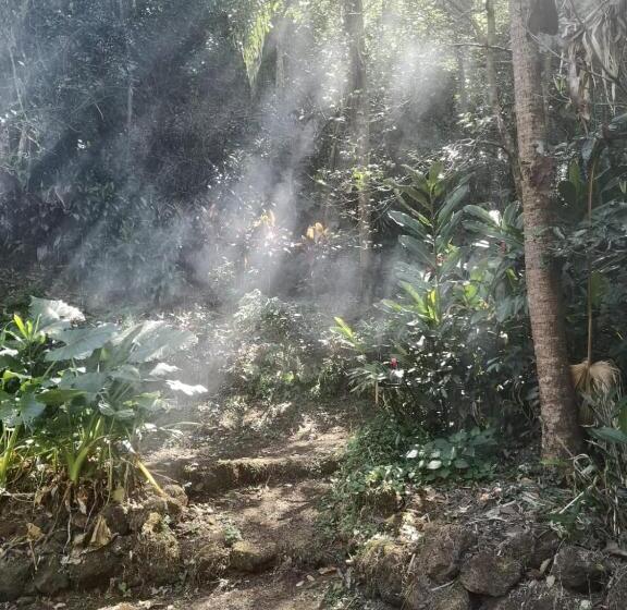 ベッドアンドブレックファースト Casita Maripier