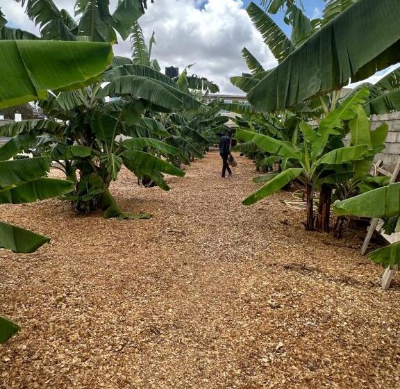 ベッドアンドブレックファースト Smart Park Arusha