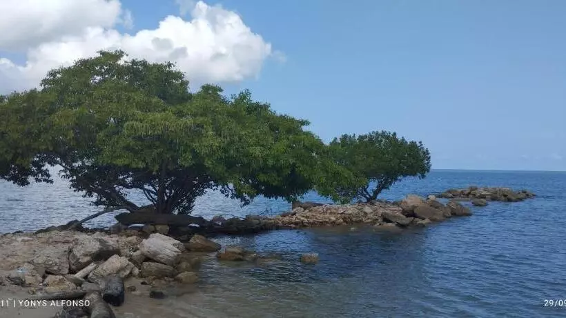ホテル Hospedaje Los Almendros