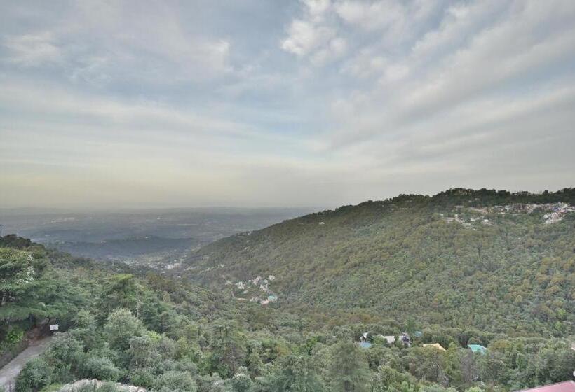 Hotel M Bar And Restaurant