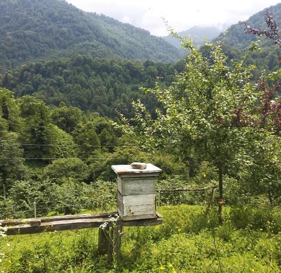 ペンション Gorgiladze Resorts In Mtirala National Park