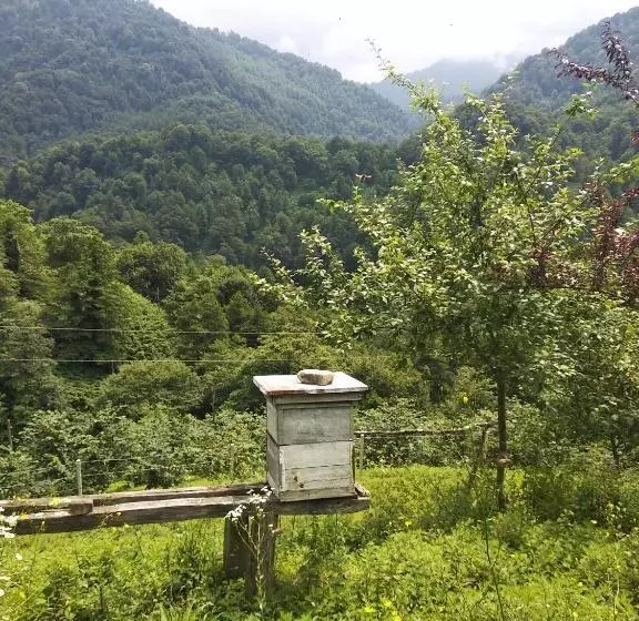 پانسیون Gorgiladze Resorts In Mtirala National Park