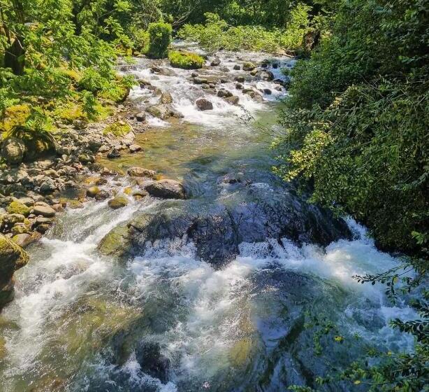 ペンション Gorgiladze Resorts In Mtirala National Park