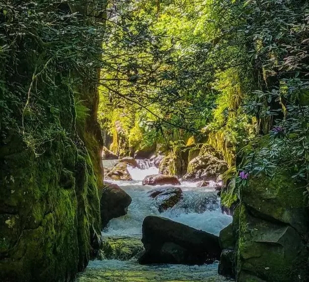 پانسیون Gorgiladze Resorts In Mtirala National Park