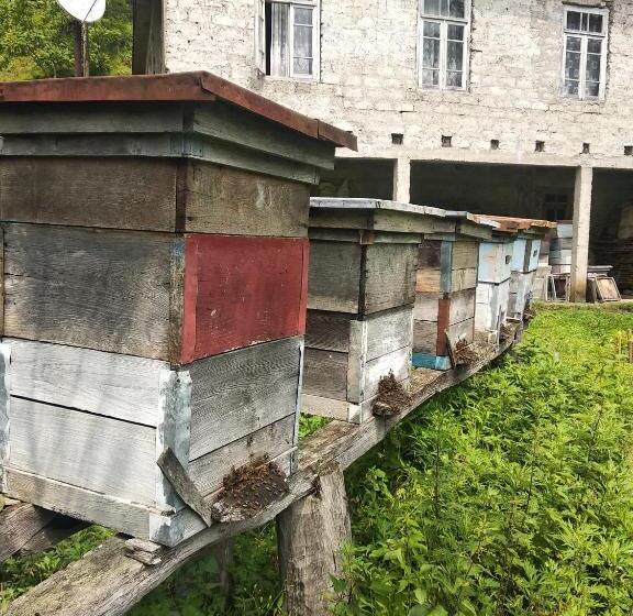 ペンション Gorgiladze Resorts In Mtirala National Park