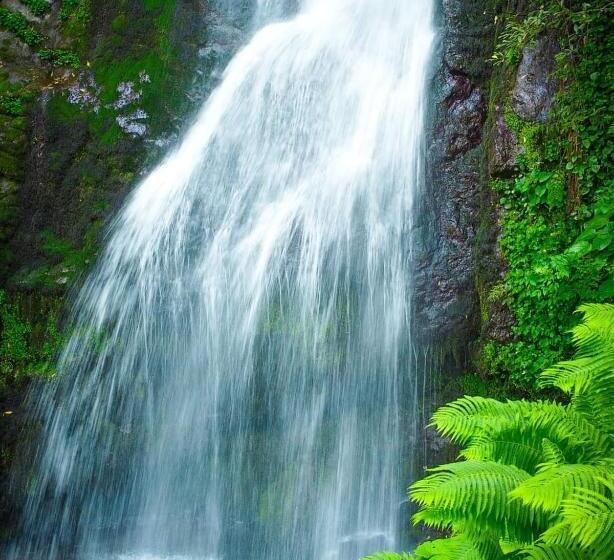ペンション Gorgiladze Resorts In Mtirala National Park