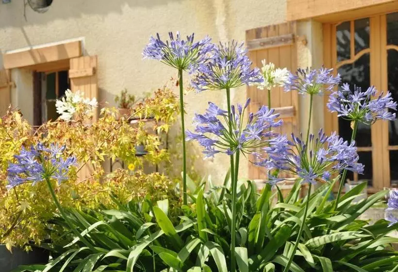 Majatalo L Eveil Des Sens