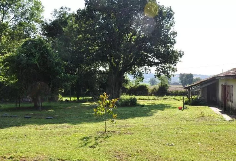 Majatalo L Eveil Des Sens