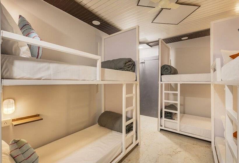 Albergue Madpackers Jaipur