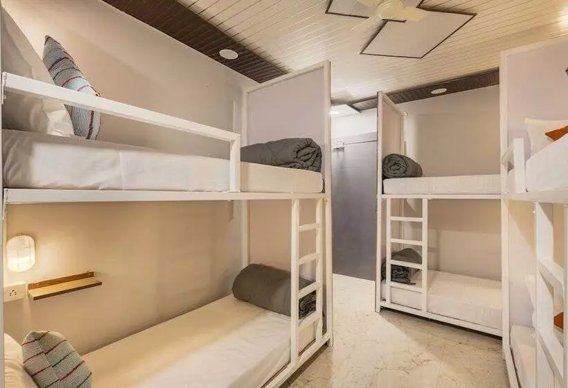 ユースホステル Madpackers Jaipur