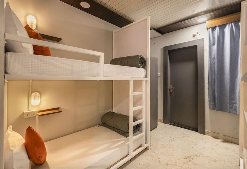 Albergue Madpackers Jaipur