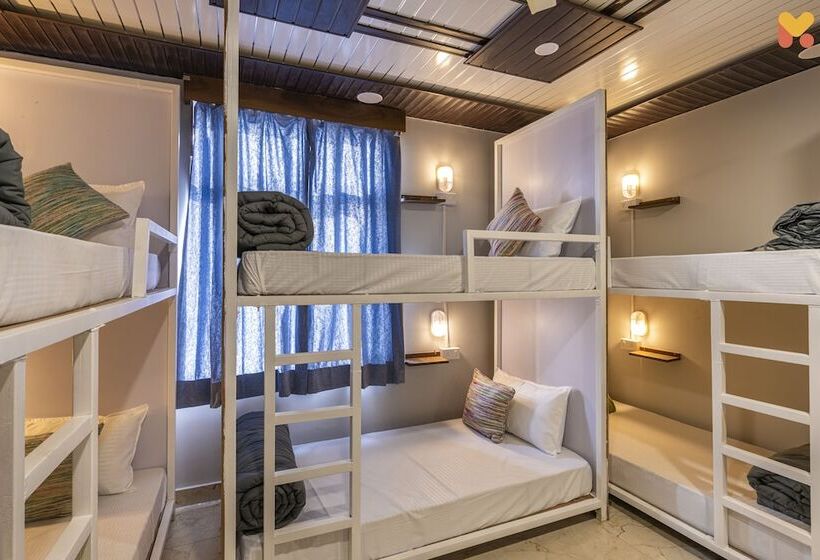 Albergue Madpackers Jaipur