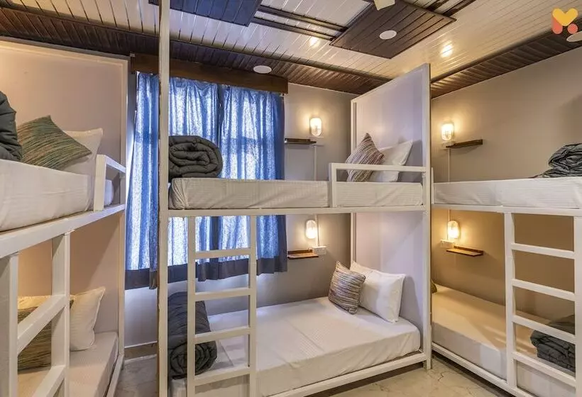 ユースホステル Madpackers Jaipur