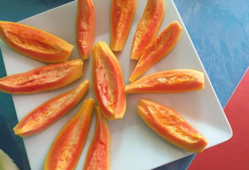 Bed and Breakfast Pousada Lua Mar Arraial D Ajuda