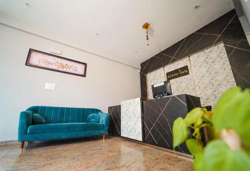 Hotelli Ayani Inn