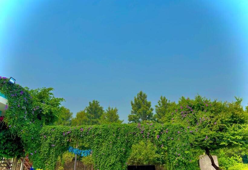 ホテル Private Patties Farmhouse Gurgaon