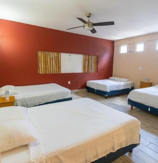 پانسیون Casa Ovad