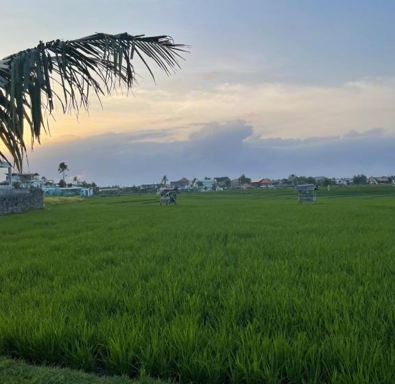 بنسيون Lumbung Kubu Canggu