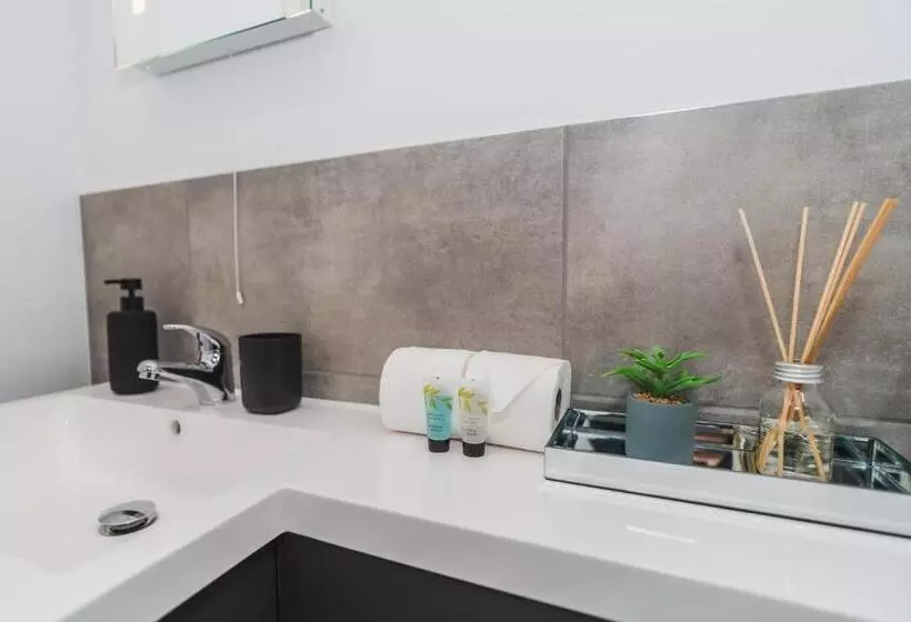 ベッドアンドブレックファースト Vichy The Thornhill Delux Apartments
