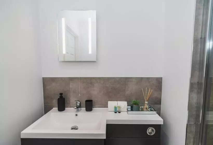 ベッドアンドブレックファースト Vichy The Thornhill Delux Apartments