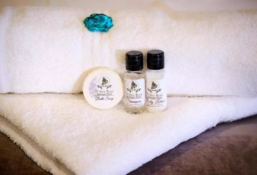 ホテル Postmasburg D Olive Rose Boutique