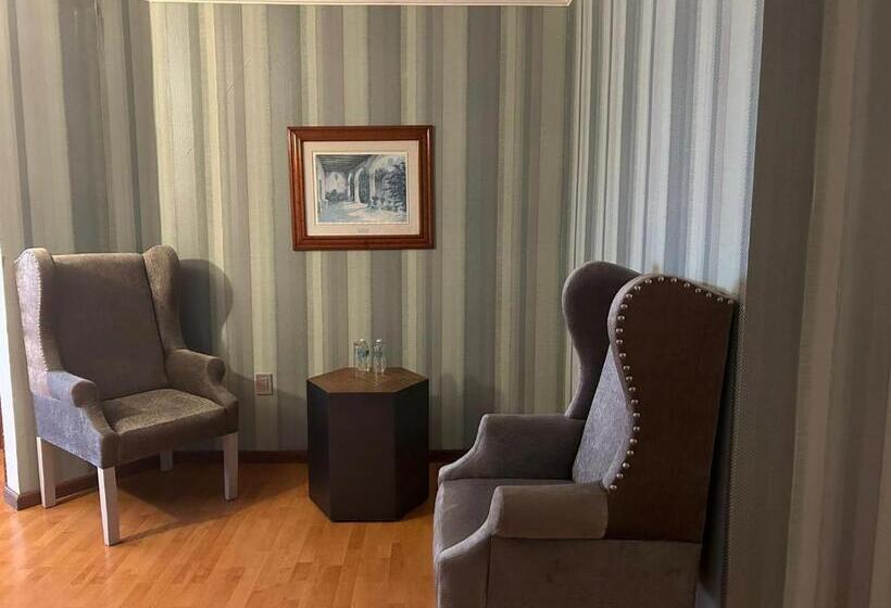 Отель Suites Virreynal