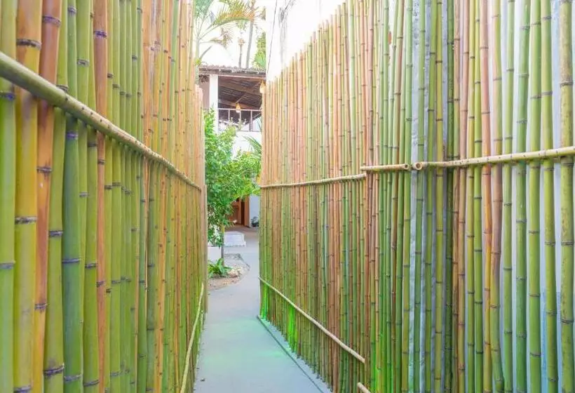 Retkeilymaja Selah Pipa