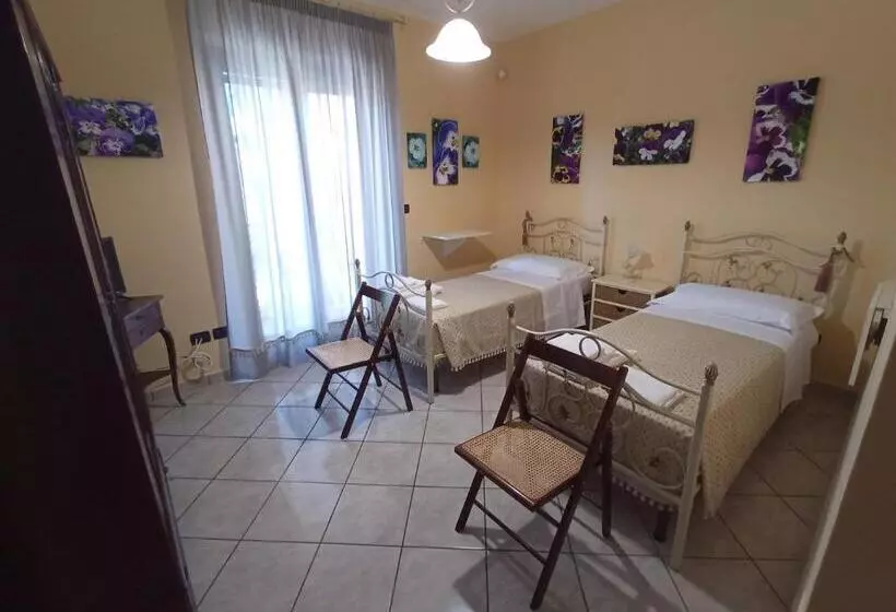 Majatalo I Fiori Di Amina Le Viole