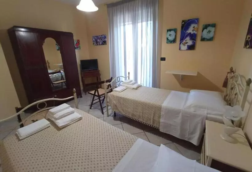 Majatalo I Fiori Di Amina Le Viole