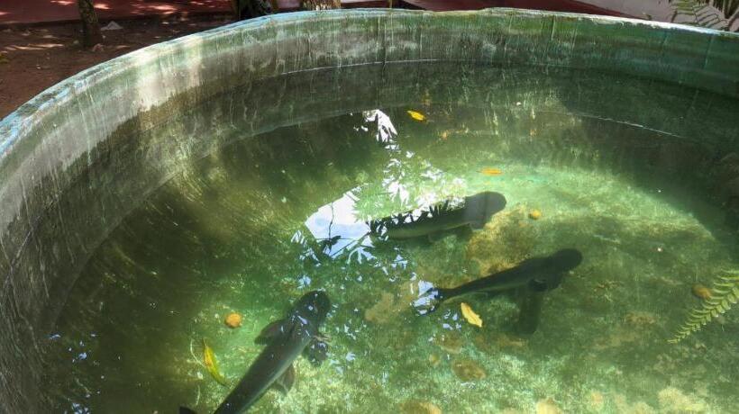 膳宿费 Sirimedura Home Stay