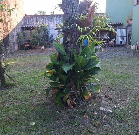 Pousada Borboleta Azul Ilha Comprida