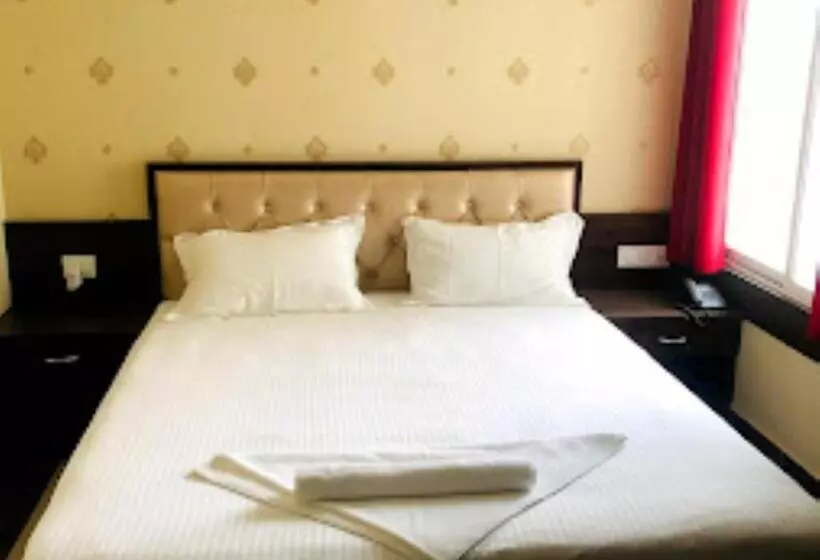 The Metropol Hotel Bihar
