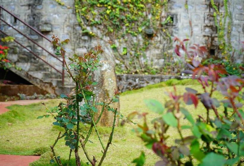 Bed and Breakfast Me Time Stay