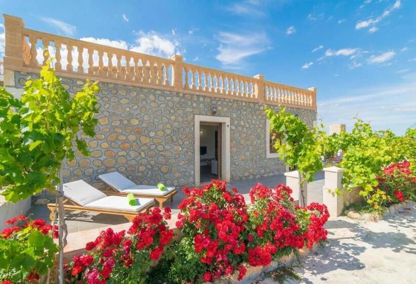 בית מלון כפרי Agroturismo El Limonar 4