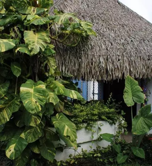 ホテル Bungalows Las Tortugas