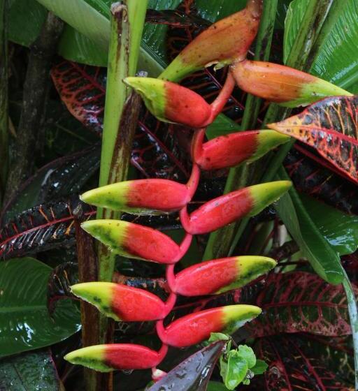 酒店 Bungalows Las Tortugas