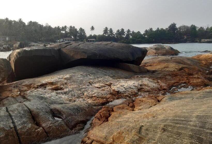 膳宿费 Anika Homes