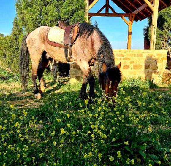 Пансион Le Chalet Bouargoub