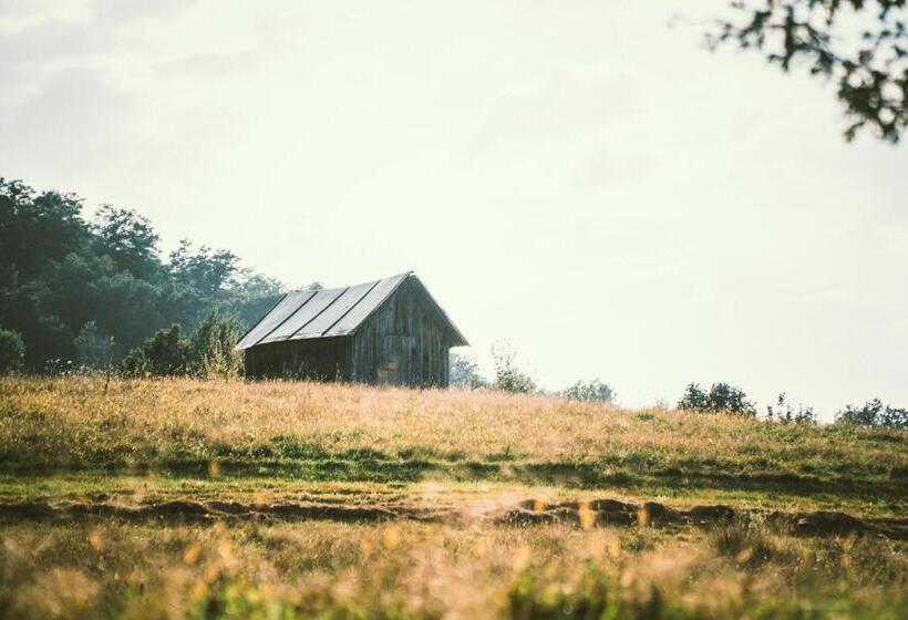פנסיון Petershaus   Casa De Vacanța și Distractie
